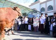 Gubernur Gorontalo Serahkan Sapi Kurban Bantuan Presiden RI di Masjid Baiturrahim