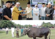 Pemkot Kotamobagu Serahkan Bantuan Sapi Kurban dari Presiden ke Warga Molinow