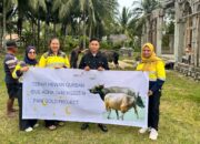 Pani Gold Project bagikan 26 Ekor Sapi Kurban di Pohuwato