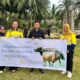 Sapi Kurban Pohuwato