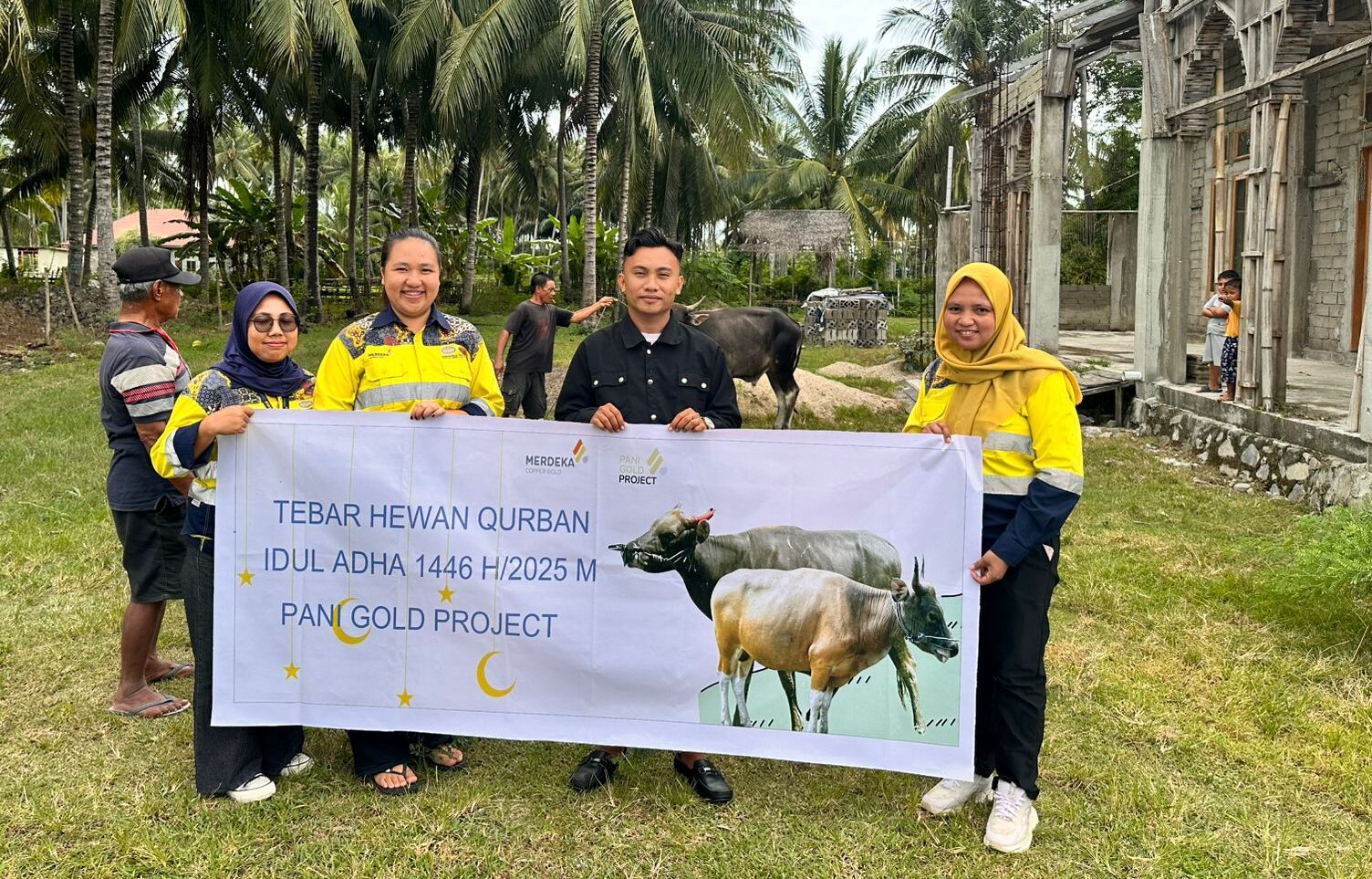 Sapi Kurban Pohuwato