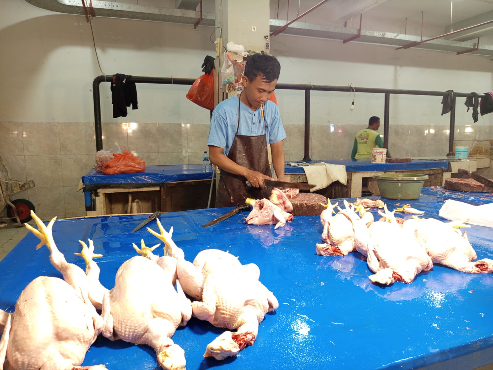 Harga Daging Ayam