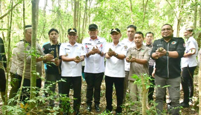 BKSDA Catat 1.400 Burung Maleo telah Dilepasliarkan di Cagar Alam Panua
