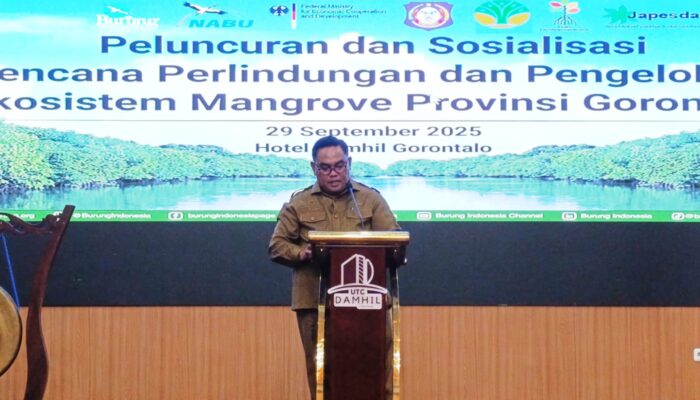 Kadis LHK Klaim Gorontalo Pertama Secara Nasional Luncurkan Dokumen Rencana Pengelolaan Mangrove