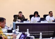 Wamen Ossy Laporkan Progres Pengadaan Tanah untuk Warga Terdampak Erupsi Gunung Lewotobi