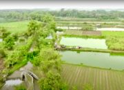 Mengenal Desa Rejoagung, Potensi Desa Meningkat usai Program Penataan Akses Reforma Agraria