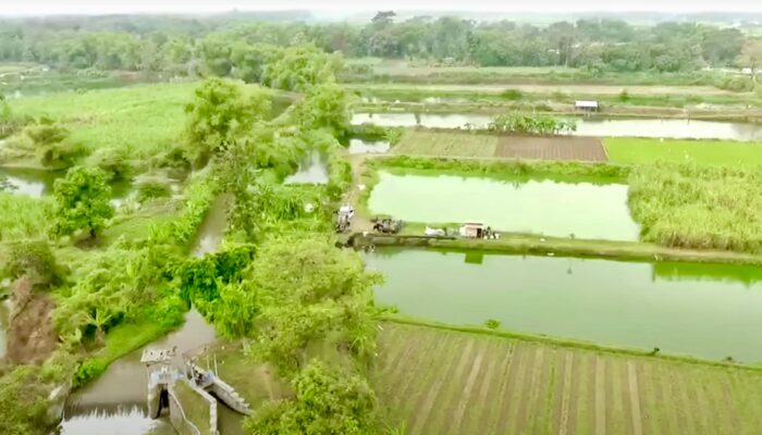 Mengenal Desa Rejoagung, Potensi Desa Meningkat usai Program Penataan Akses Reforma Agraria