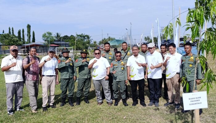 Dinas LHK akan Perbanyak Tanam Pohon Glodokan Tiang untuk Perindah Jalan GORR