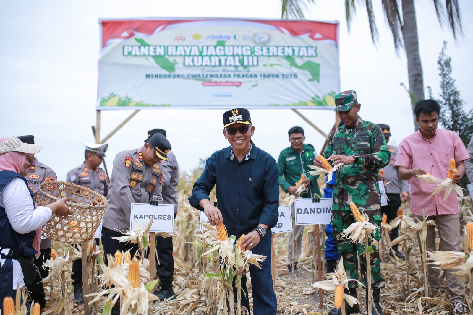 Panen Raya Jagung