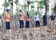 Pemprov Tinjau Kelayakan Calon Lokasi Pembangunan Sekolah Rakyat di Kayumerah