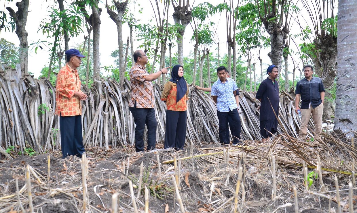 Sekolah Rakyat