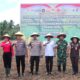 Tanam Jagung Serentak