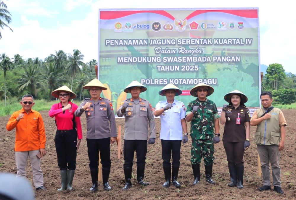 Tanam Jagung Serentak