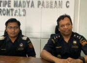 Terungkap! Modus Pengedar Rokok Ilegal di Gorontalo