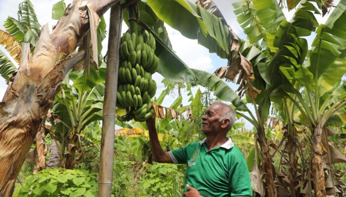 Kampung Reforma Agraria Baumata di Kupang