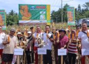 Kapolres Kotamobagu Gandeng Petani dan PT Syngenta Panen Jagung Unggul di Boyaya