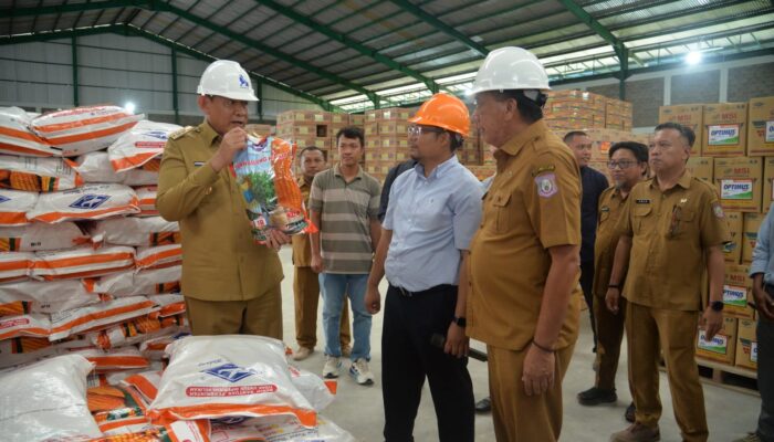 481,6 Ton Benih Jagung Segera Disalurkan ke Petani Gorontalo