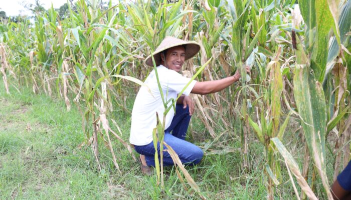 Reforma Agraria Lahirkan Regenerasi dan Kreativitas Petani Muda