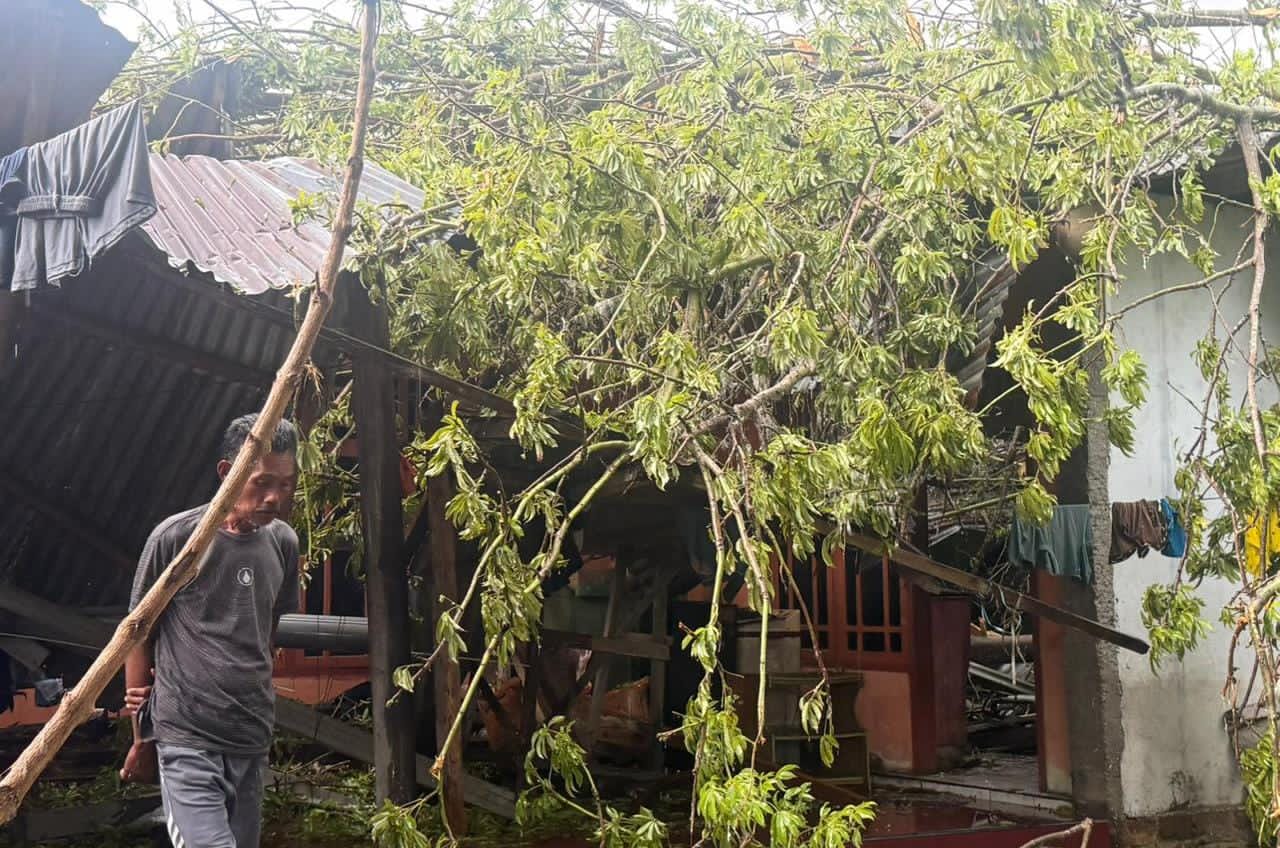 Pohon Tumbang Pohuwato