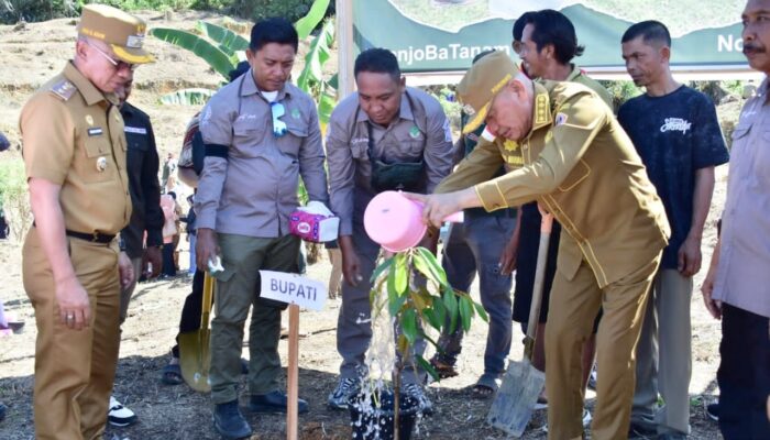 Pemda Pohuwato Terbitkan Surat Edaran, Instruksikan Tanam Sejuta Pohon