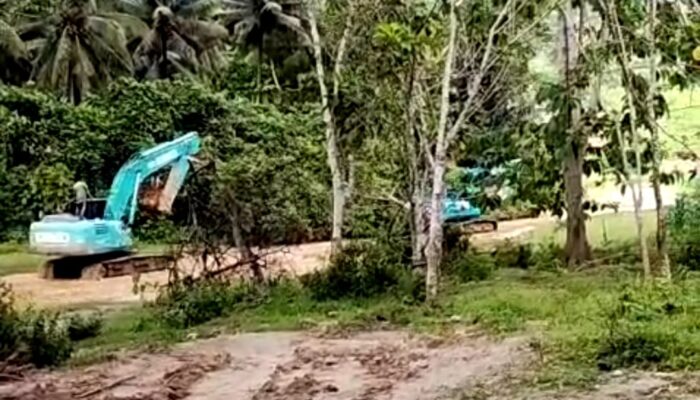 Pengunaan Alat Berat di Tambang Ilegal Mootilango Berpotensi Timbulkan Bencana
