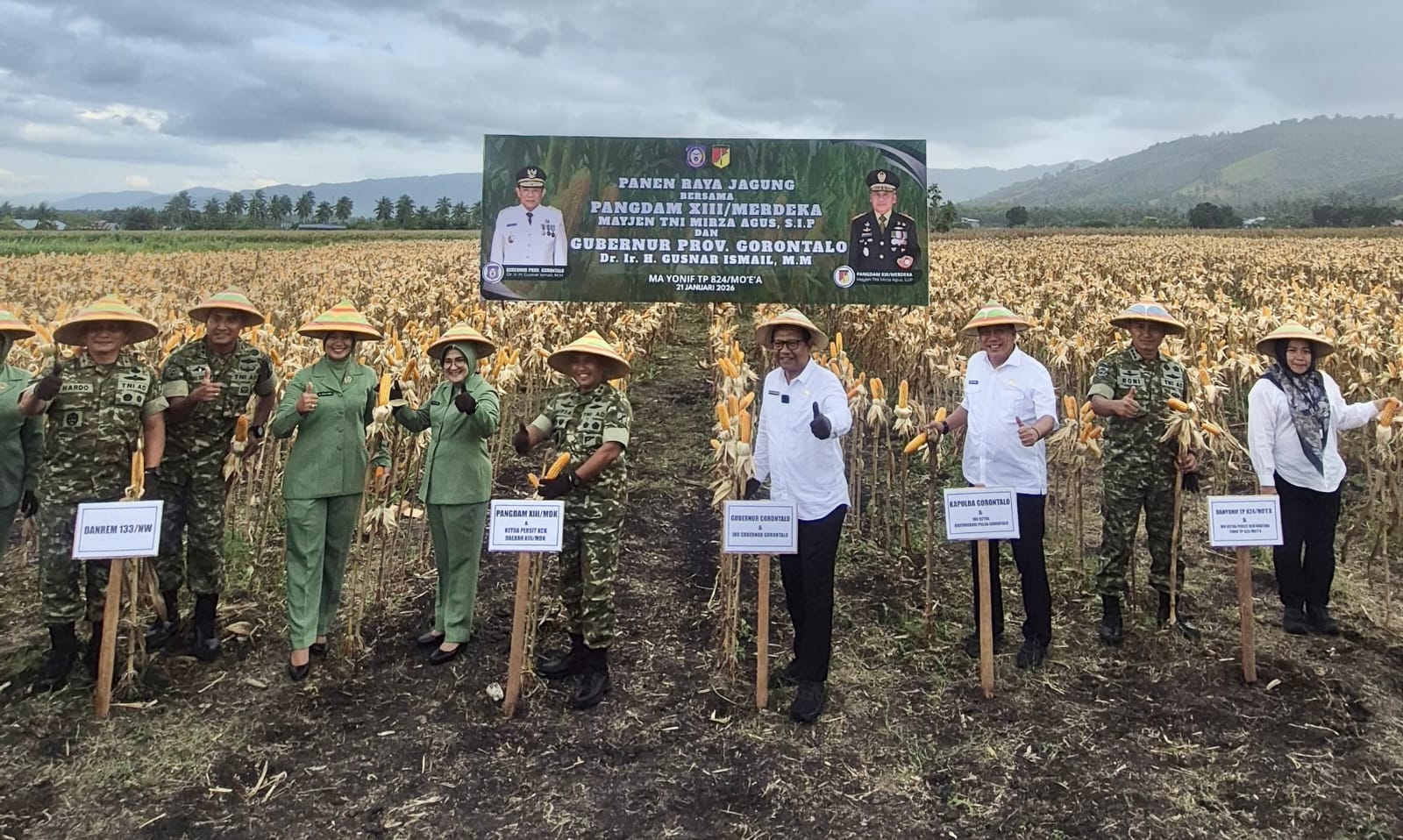 Panen Jagung