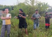 layang layang aduan gorontalo