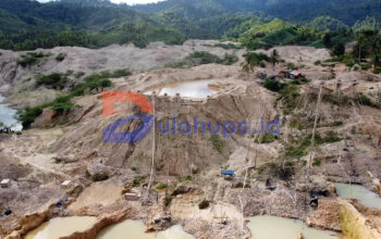 tambang emas ilegal pohuwato-dulohupa.id