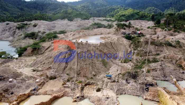 20 Potret Tambang Emas Ilegal di Pohuwato, Perkebunan Terancam Habis