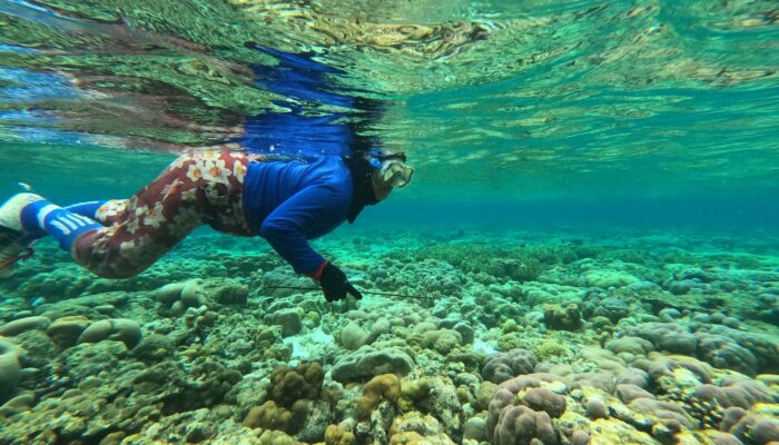 Perempuan Penantang Ombak Togean: Gigih Mencari Gurita Demi Keluarga