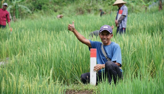 Mudik ke Kampung Halaman? Jaga Batas Tanah untuk Cegah Konflik