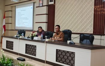 Pemprov Gorontalo Pastikan Izin Pertambangan Rakyat Berproses Meski Ada Kendala