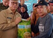 Bantuan Benih Padi
