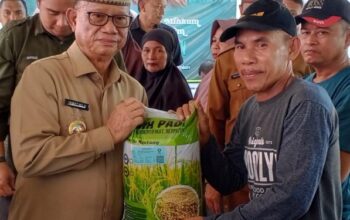 Bantuan Benih Padi