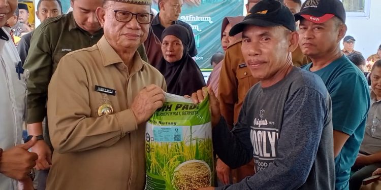 Bantuan Benih Padi