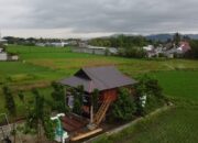 Dari Tengah Sawah, Jurnalisme Bertumbuh: Menyambut Konferwil AMSI Gorontalo 2026