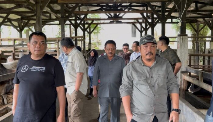 Bupati Boalemo akan Adopsi Sistem Peternakan Modern Milik Mantan Kapolda Gorontalo