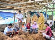 Desa Ilodulunga Sentra Budidaya Rumput Laut, Gubernur Usul Bangun KNMP