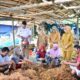 Desa Ilodulunga Sentra Budidaya Rumput Laut, Gubernur Usul Bangun KNMP