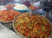 Harga Cabai