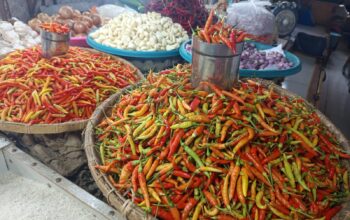 Harga Cabai