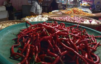 Harga Cabai Keriting Melonjak Rp80 Ribu/Kg di Gorontalo