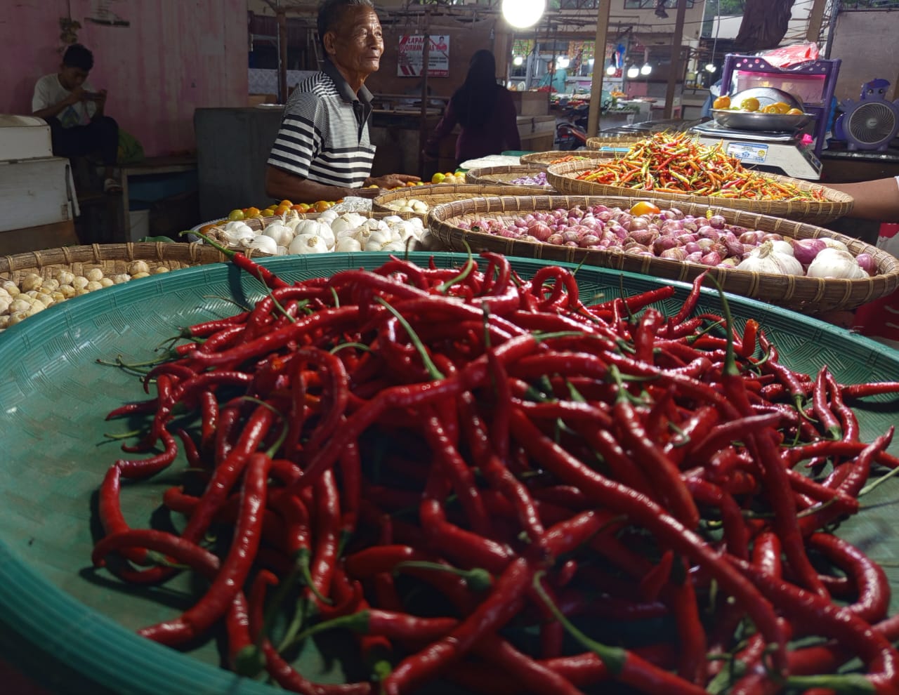 Harga Cabai Keriting