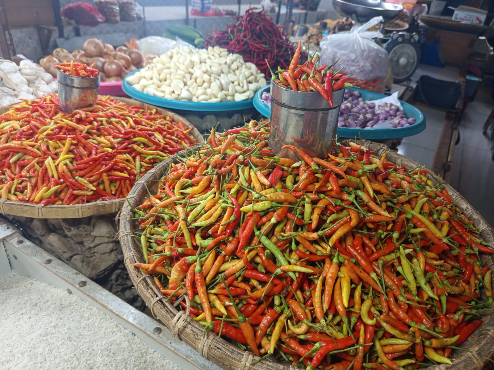 Harga Cabai