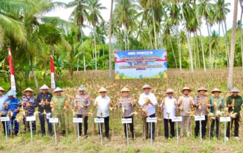 Polda Gorontalo Perkuat Program Swasembada Pangan lewat Panen Jagung