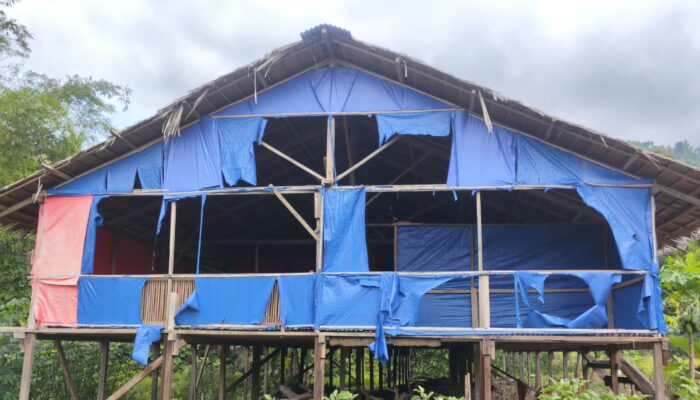 Memakan Anggaran Rp250 Juta, Pengadaan Kandang Ayam di Desa Karya Baru Terbengkalai