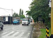 Arus Lalu Lintas Kembali Normal Pasca Pohon Tumbang di Jalan Rusli Datau