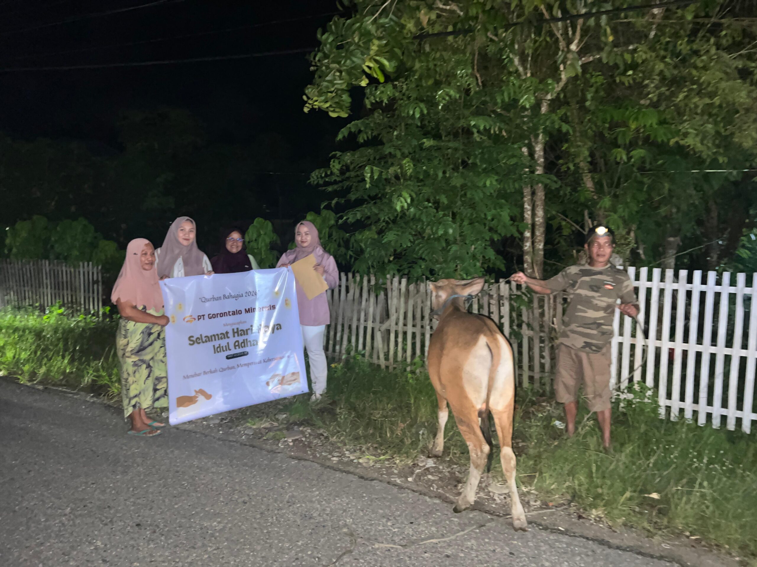 Bantuan sapi kurban