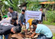 Tiga Misi di Balik PT GM Salurkan Sapi Kurban: Harmoni, Pangan dan Amanah Sosial