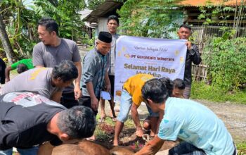 Tiga Misi di Balik PT GM Salurkan Sapi Kurban: Harmoni, Pangan dan Amanah Sosial
